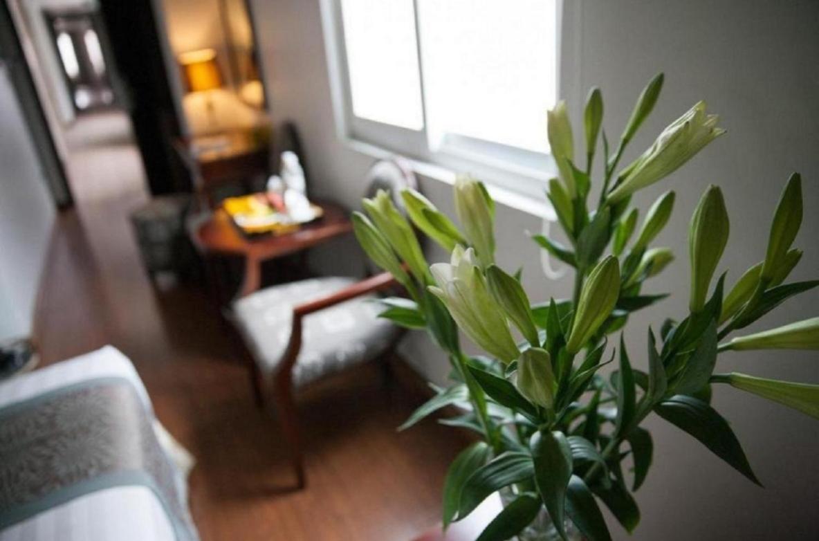 Skylark Boutique Hotel Hà Nội Ngoại thất bức ảnh